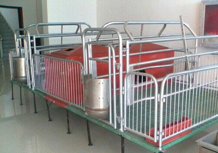 母豬產床 母豬產床