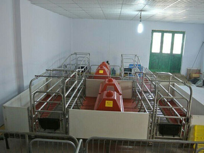 母豬產床 母豬產床